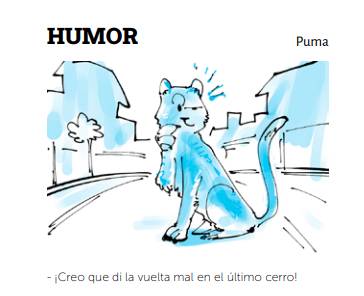 Humor