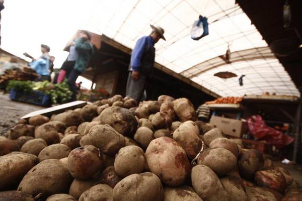 Papas, especulación y colusión
