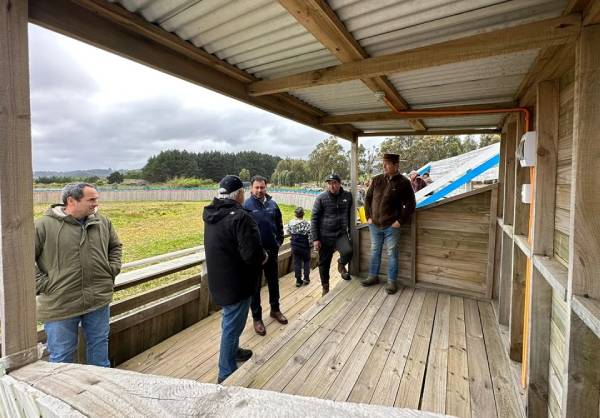 Más de 100 fiscalizaciones a inmuebles fiscales se han realizado en Ñuble