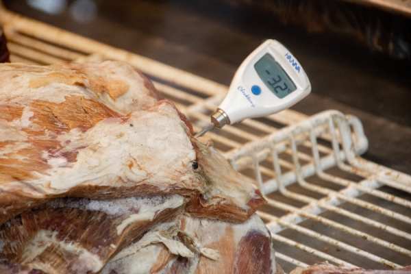 Deficiencias en locales de cecinas y carnes terminan en 9 sumarios en Ñuble