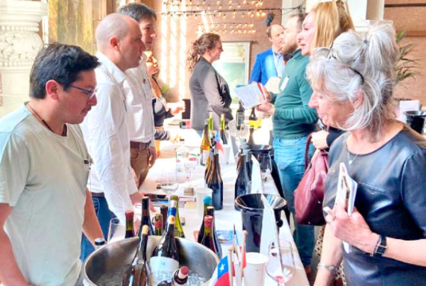 ProChile busca abrir nuevos mercados para el vino local