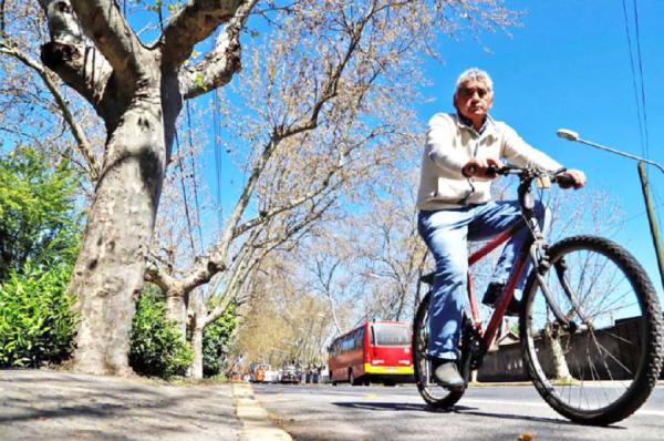 Municipalidad de Chillán Viejo se transforma en la segunda comuna de Ñuble en licitar estudio fitosanitario