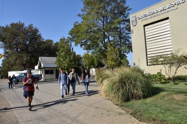 Comisión de Educación del Senado aprueba ley de Birregionalidad de las Universidades del Estado