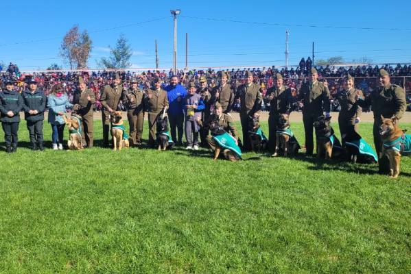 Más de 3 mil niños disfrutaron de muestra de talento de la brigada canina de Carabineros