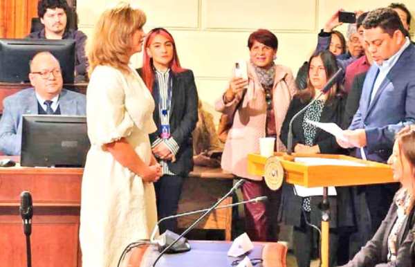 Senadora Loreto Carvajal asume vicepresidencia nacional del PPD
