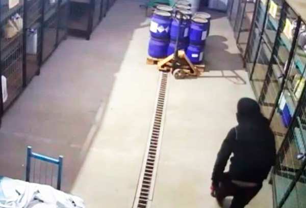 Piden acciones para detener frecuentes robos a fruticultores