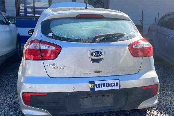 Detenidos tres menores de edad tras robar artículos electrónicos y una mascota en Chillán