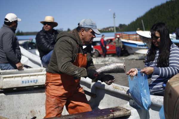 Autoridades de Ñuble esperan presencia en el Consejo de Desarrollo Territorial