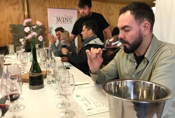 Quillón prepara tercera versión del Concurso del Vino