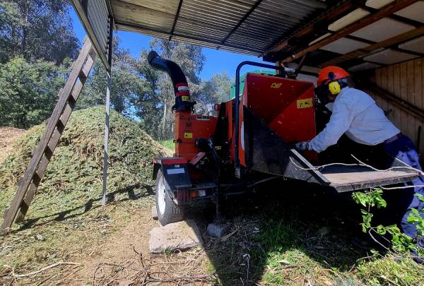 Reutilizan ramas de podas para decoración de plazas y parques en Chillán