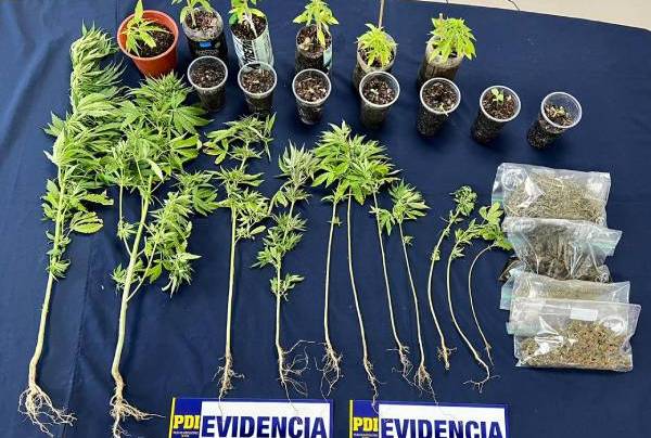 Operativos antidrogas dejan cuatro detenidos por tráfico en San Nicolás y San Carlos