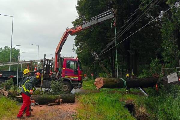 CGE: 94 clientes continúan sin electricidad tras sistema frontal en Ñuble