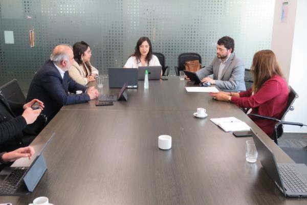 Gremios de Ñuble se reúnen con Subsecretaria de Economía y Empresas de Menor Tamaño