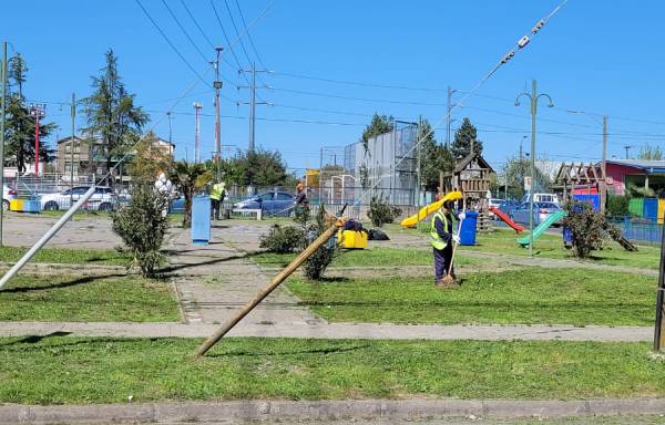 Continúa corte de pasto en diversos puntos urbanos de Chillán