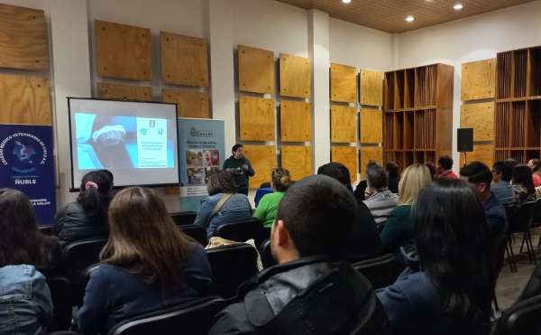 Seminario de animales sin dueño: "un gato podría matar 11 mil aves en un año"