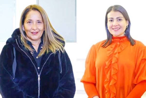 Consejeras de Ñuble se preparan para semana decisiva en el Pleno
