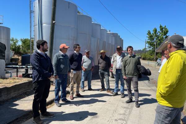 Cooperativas en la región de Ñuble aumentaron este año un 8,6%
