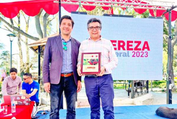 Experto UdeC analizó impacto de la variabilidad climática en cerezos