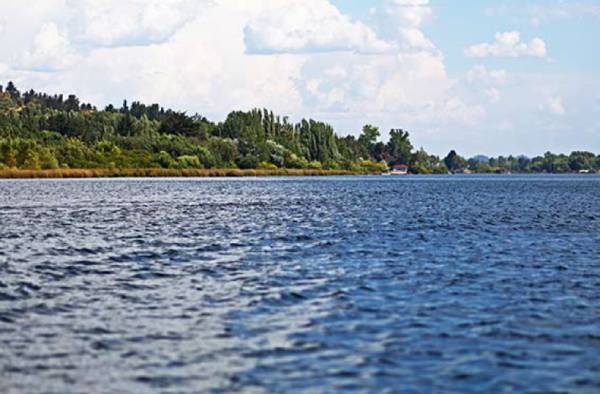 Proyecto permitiría estudiar la Laguna Avendaño para detectar genes de resistencia a antibióticos
