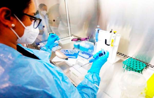 Monitorean presencia de bacteria Burkholderia