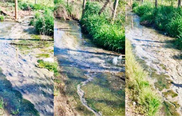 Denuncian desborde de aguas servidas en El Rosal