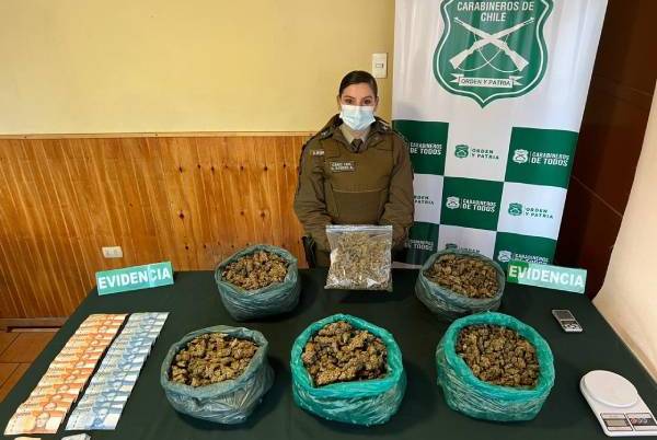 Detienen a integrantes de banda dedicada al tráfico de marihuana en San Carlos