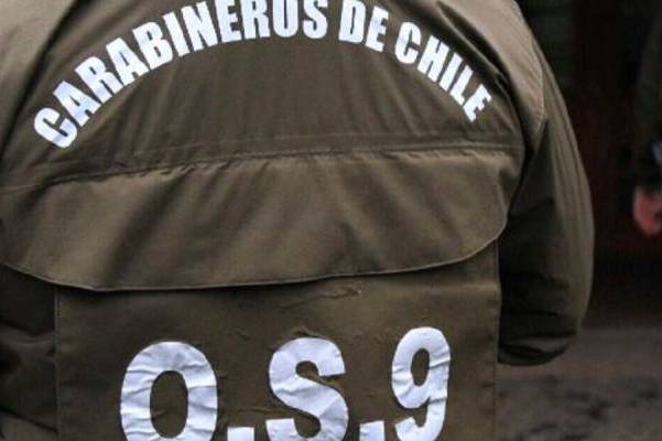 Detienen a dos prófugos en Ñuble: uno vinculado a violentos robos y otro por falsificación