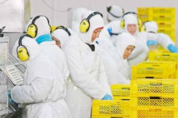 40 horas: Año de decisiones oportunas