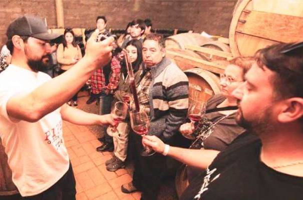 Lomas de Llahuén lleva el Valle del Itata a la final del Concurso Enoturismo Chile