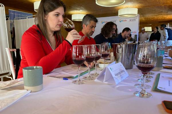 Viñas locales suman 45 premios en concurso del vino en Quillón