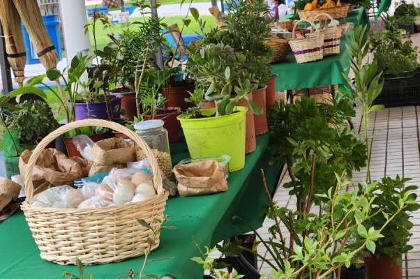 San Nicolás será sede del Encuentro Agroecológico Ñuble 2023