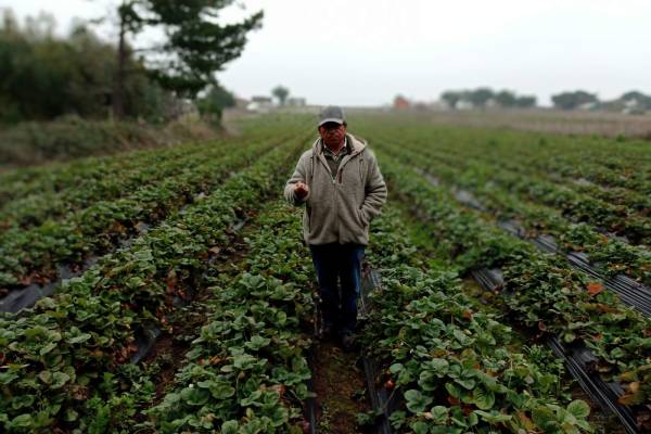 Proponen soluciones para el riego ante disminución de lluvias en Cobquecura
