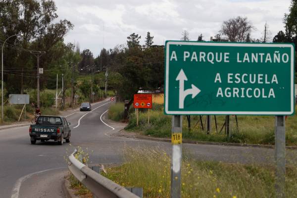 Camino a Ñuble Alto cuenta con ruta totalmente asfaltada
