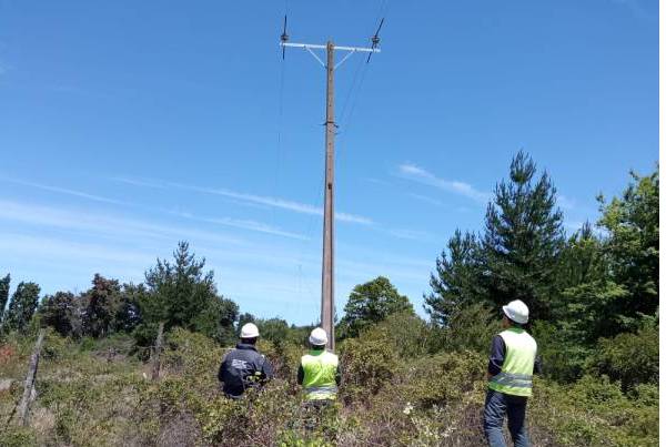 SEC Ñuble inspecciona planes de acción instruidos a Frontel para continuidad del suministro eléctrico