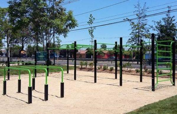 Buscan cambiar rostro de bandejón central de Avenida Collín