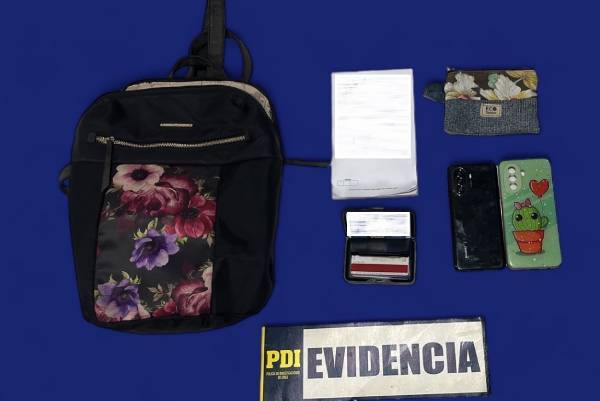Mujer de 60 años detenida por hurto a embarazada en clínica de Chillán