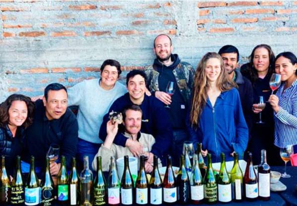 Influyente master of wine destacó productores “de clase mundial” en el Valle del Itata