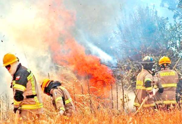 Expertos anticipan incendios “potencialmente catastróficos” en Ñuble para este verano