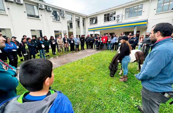 Brigadistas se capacitan en atención de animales