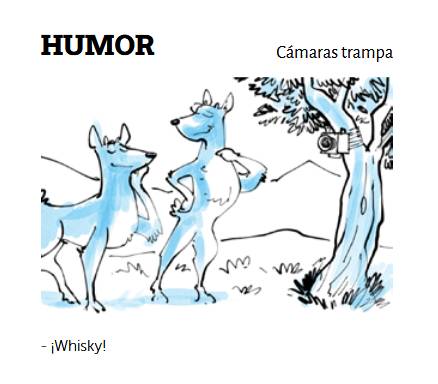 Humor