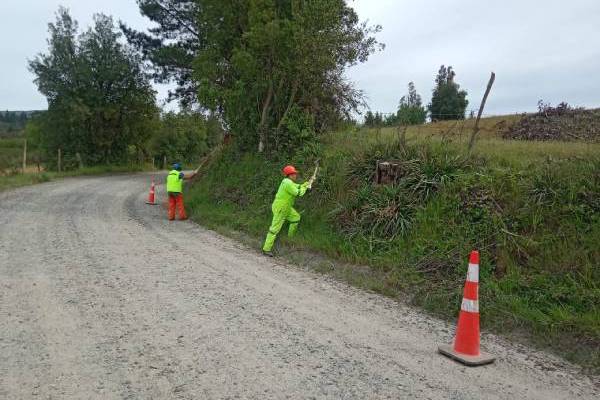 Un 67% de avance presentan obras de limpieza de faja en rutas de Ñuble