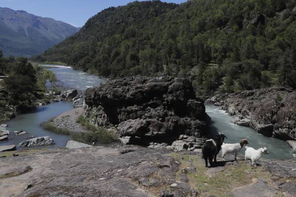 Ingresarán a Contraloría denuncia por demora en proceso sancionatorio del Embalse Punilla