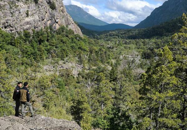 Principal hábitat del huemul en la región cumple 46 años desde su creación