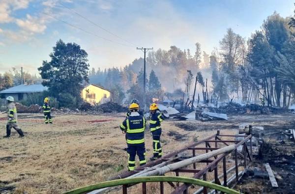 Incendio consumió 9,9 hectáreas y galpones en Yungay