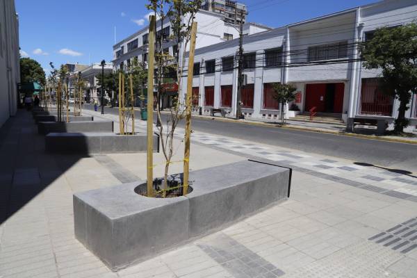 Paseo de los Artistas