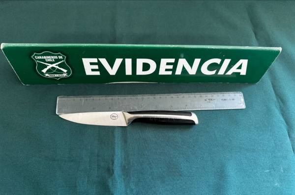 Mujer robó en óptica y amenazó de muerte a guardia de multitienda en Chillán