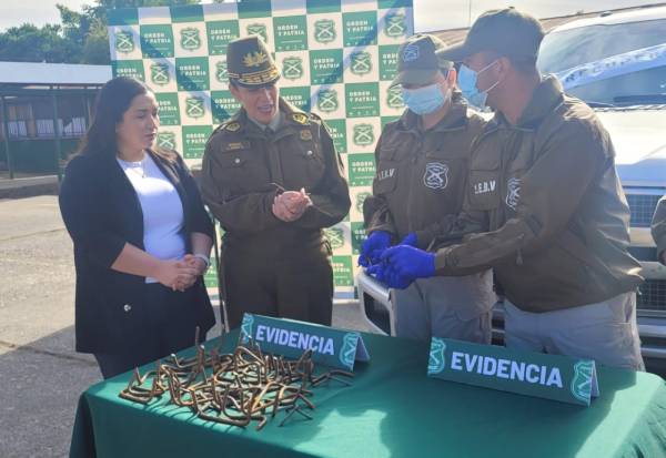Camioneta robada en Temuco fue recuperada en Chillán