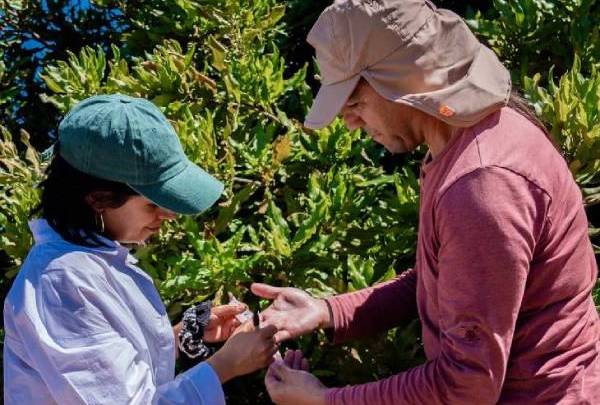 Inician innovador proyecto que impulsa la fruticultura sostenible y resiliente en Ñuble
