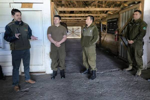 Capacitan a avanzadas fronterizas de carabineros de Ñuble y Biobío
