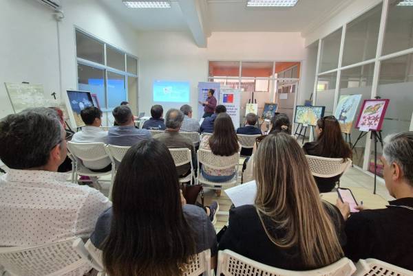 Direcciones de Tránsito en Ñuble se capacitan en nuevo sistema digital de licencias de conducir